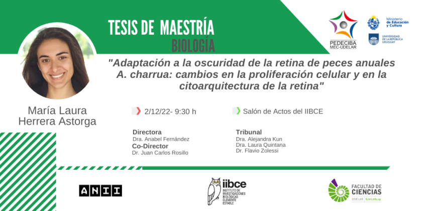 Afiche_-_Defensa_de_tesis_de_maestría_de_María_Laura_Herrera