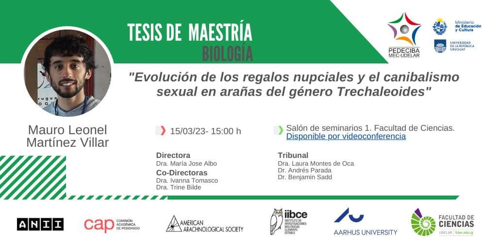 Afiche_difusion_tesis_de_maestria_Mauro_Leonel_Martinez_Villar