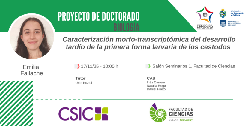 Banner pasaje PEDECIBA Emilia Failache