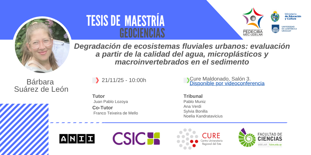 Ficha Geo Maestria Barbara Suarez