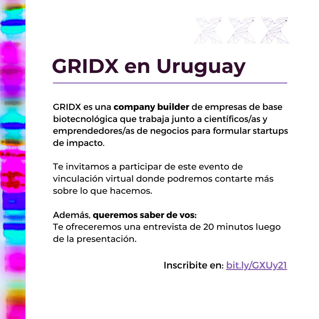 GRIDX UY IG 2 