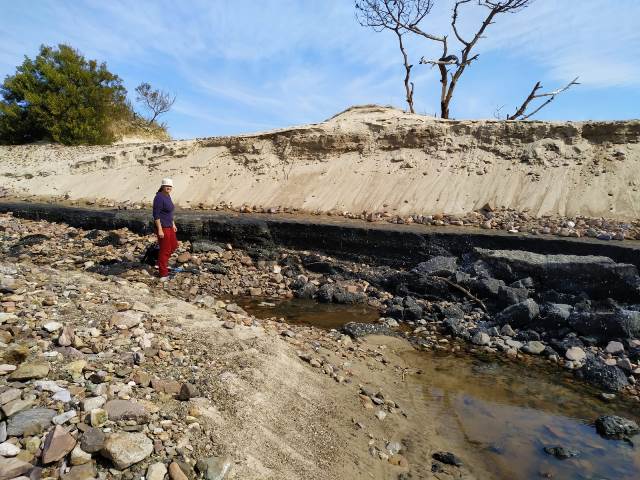 2 Yacimiento fosilífero en Playa Verde docente Alejandra Rojas
