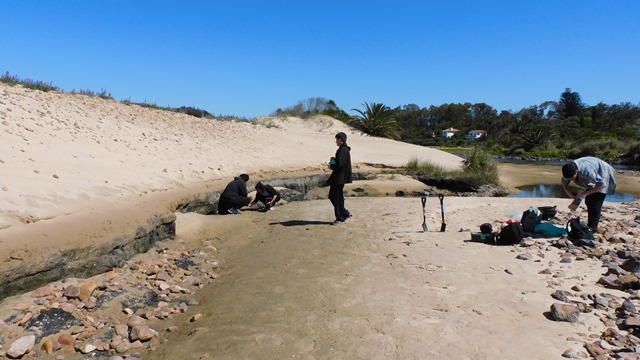 3 Observaciones y levantamiento de datos en el yacimiento Playa Verde