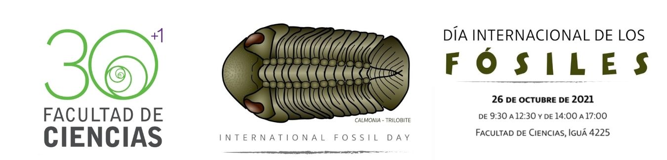 fossil day