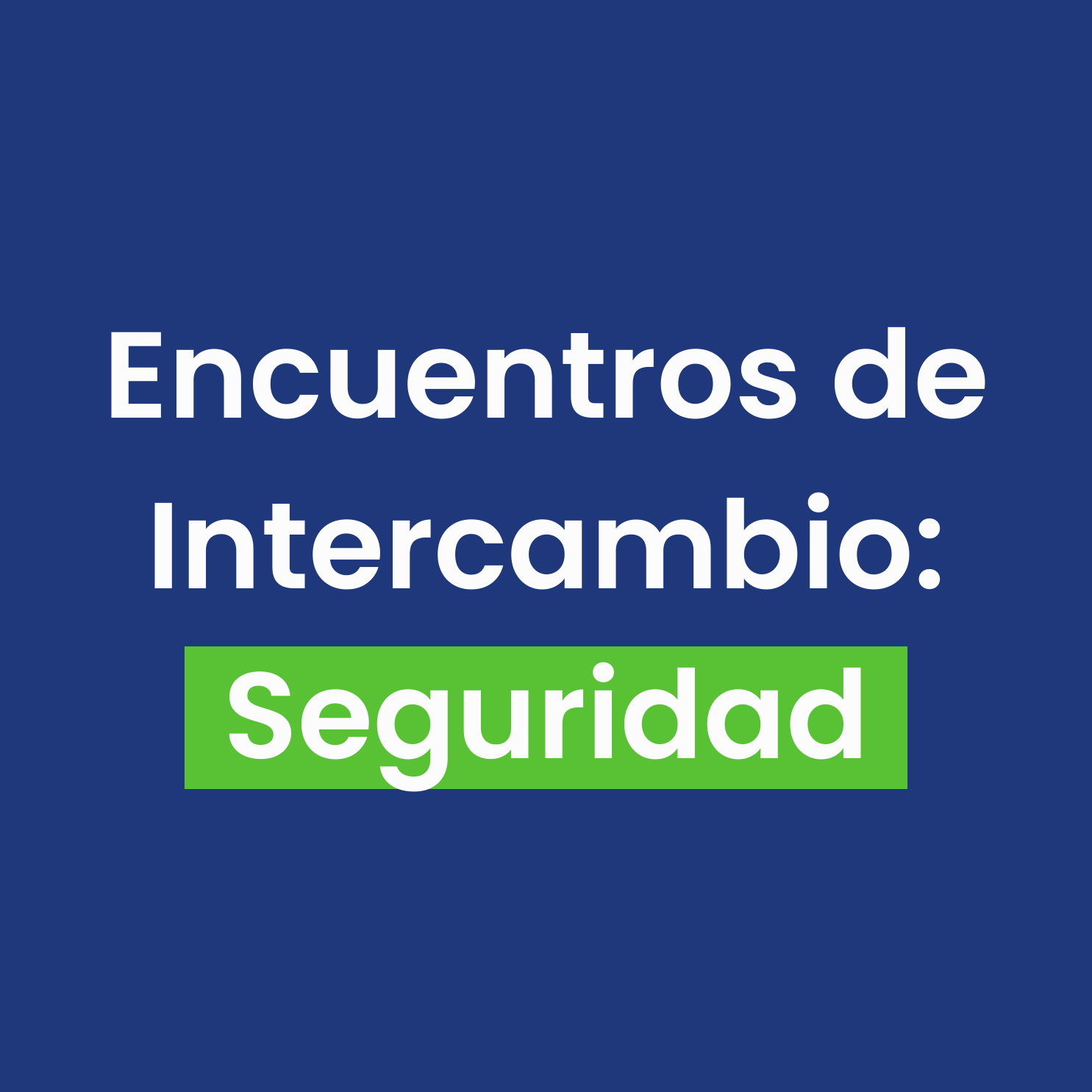 Encuentros de Intercambio: Seguridad