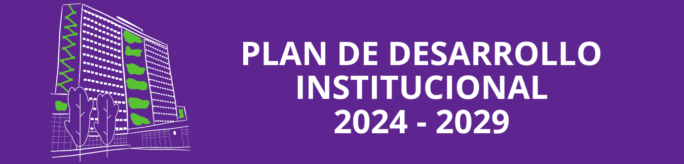 PLAN DE DESARROLLO INSTITUCIONAL
