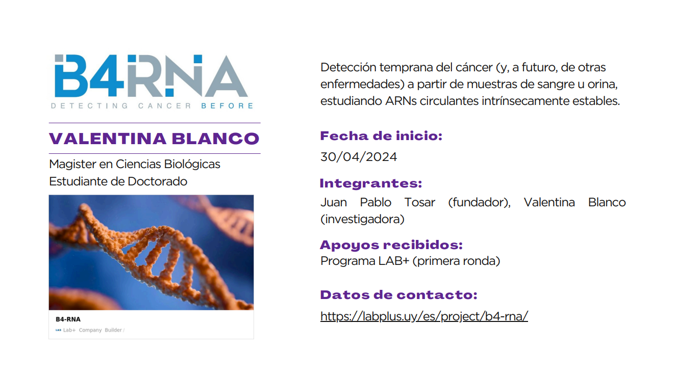 B4RNA