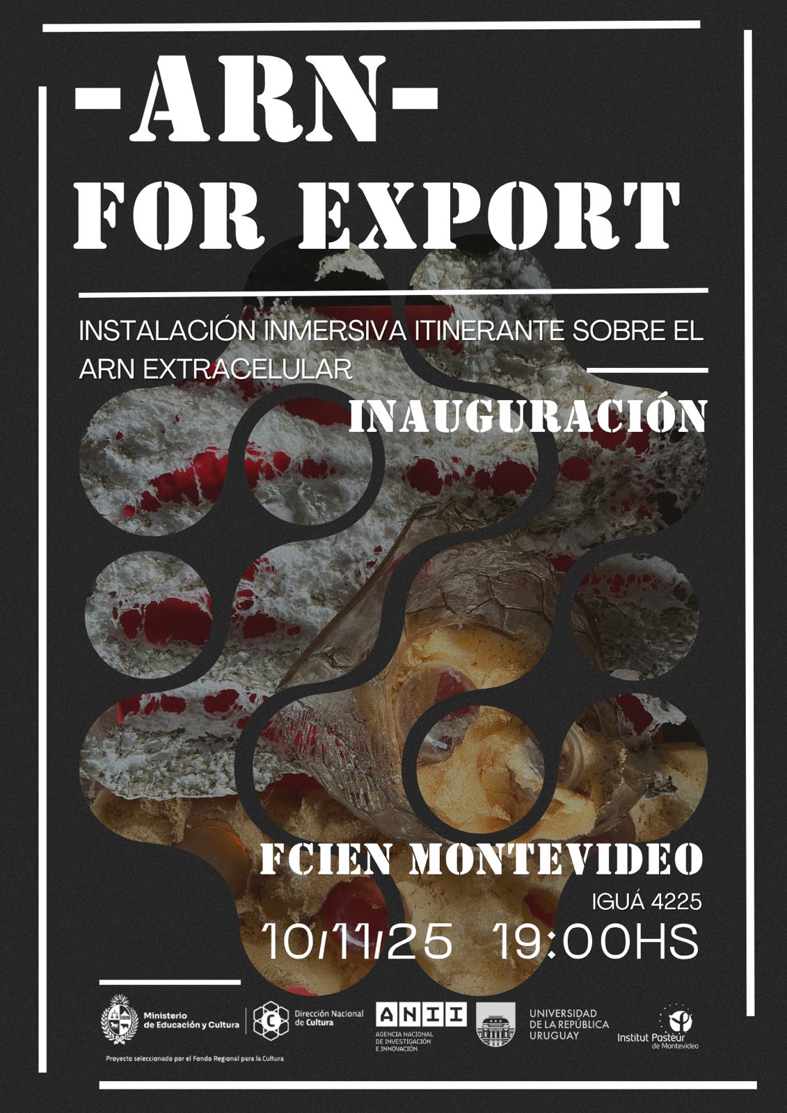 AficheFCIEN ARNforExport