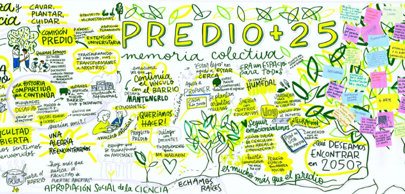 Placas noticias web PREDIO25