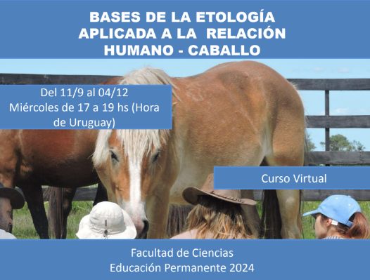 captura-de-pantalla-2024-08-13-115716