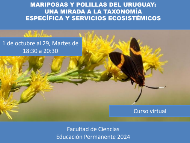 captura-de-pantalla-2024-09-18-133447