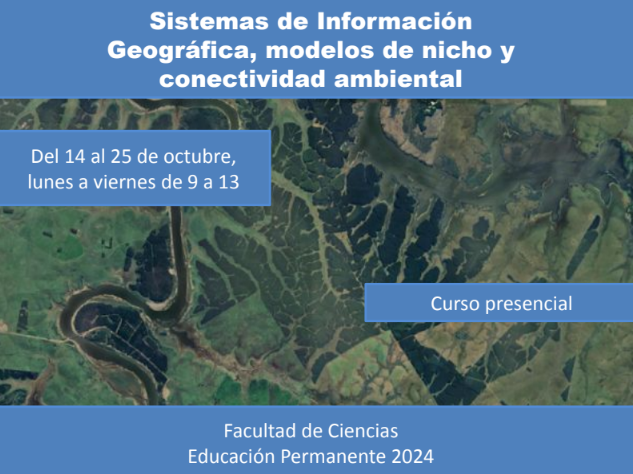 captura-de-pantalla-2024-09-19-125238