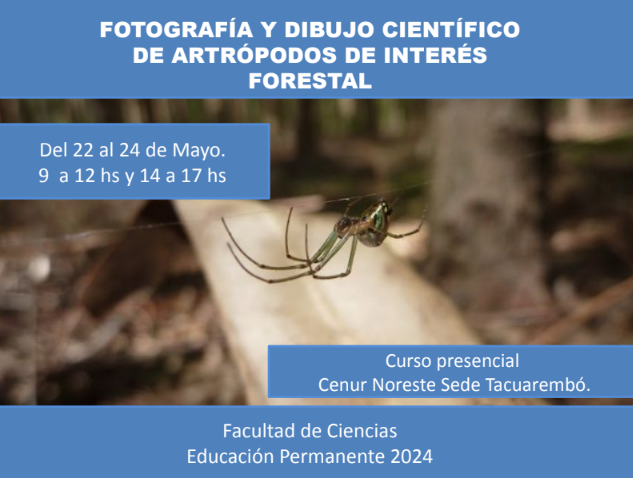 imagen-afiche-fotografia-y-dibujo