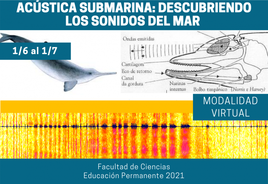 acustica-submarina