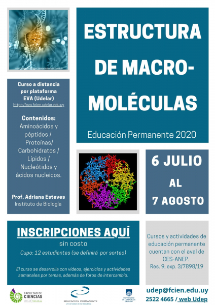 afiche-estruc-macromol