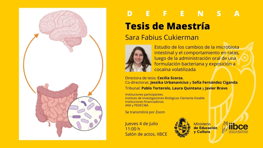 defensa_sara_fabius_1