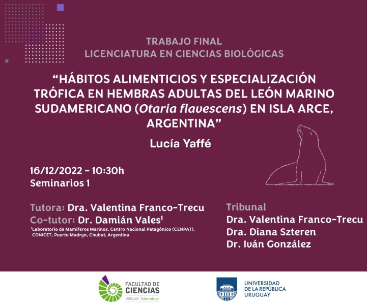 Difusión_Presentación_de_Tesina_-_Lucía_Yaffé