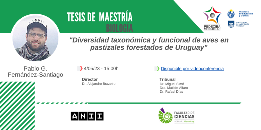 Difusion_Presentacion_Tesis_Pablo-Fernandez