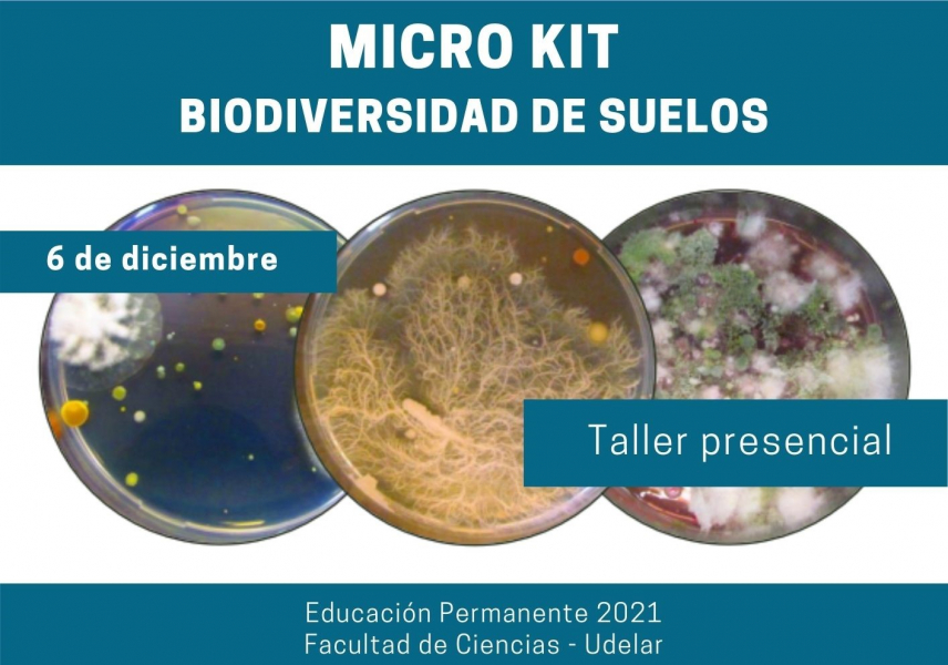 micro-kit-biodiversidad-de-suelos