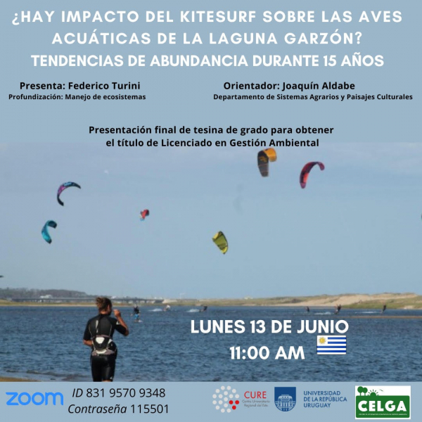 Presentación_Oral_Tesina_Lic._Gestión_Ambiental_Aves_y_Kitesurf