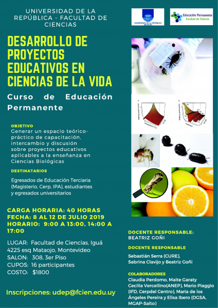 proyectos_educativos_1_RETOC