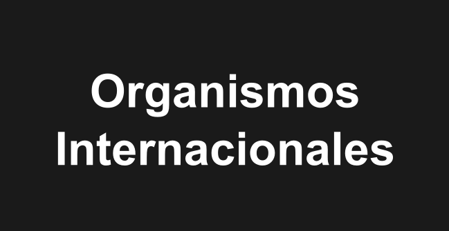 Organismos internacionales 