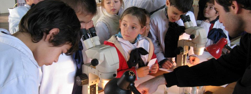 Científicos en:
Biología, Bioquímica, Geología, Geografía, Física, Astronomía, Matemática, Biotecnología, Recursos Naturales, Manejo Costero, Gestión Ambiental, Física Médica, Ciencias de la Atmósfera.